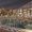 ما هو Venecia Red Sea باختصار؟